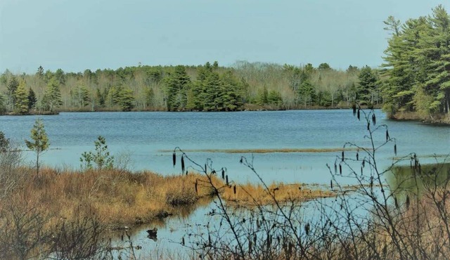 Charming Waterfront Cottage on Somes Pond