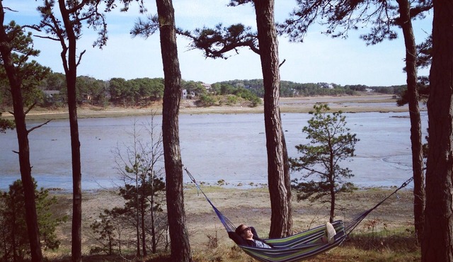 Charming Waterfront Cape Cottage in Wellfleet Near the TOP beaches and Hot Spots