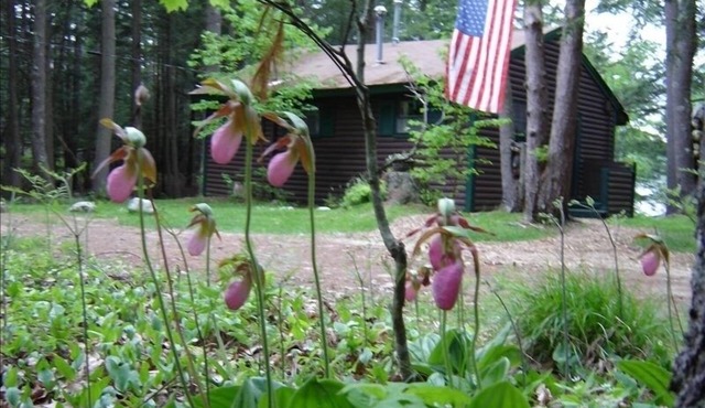 Charming Waterfront Cabin in the Woods
