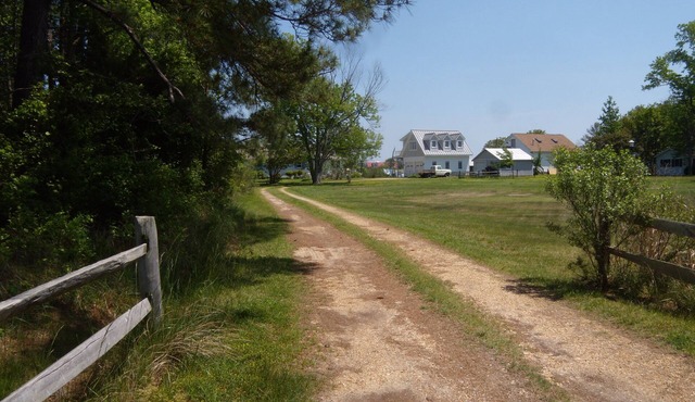 Charming Waterfront Escape with beach and pier for fishing and crabbing