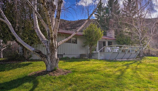 Charming White Bird Home w/Mtn & Salmon River View