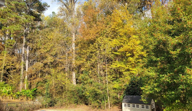 Charming, woodsy 1-bedroom apartment getaway in Lilburn for up to 4 guests