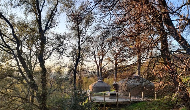 Charming Yurt in Kelburn Estate near Largs