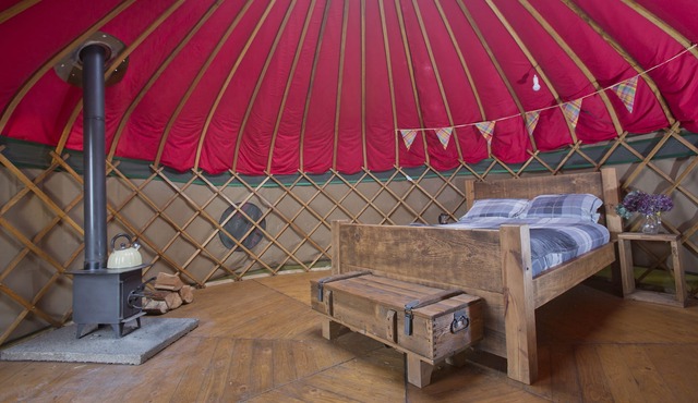 Charming Yurt in Kelburn Estate near Largs