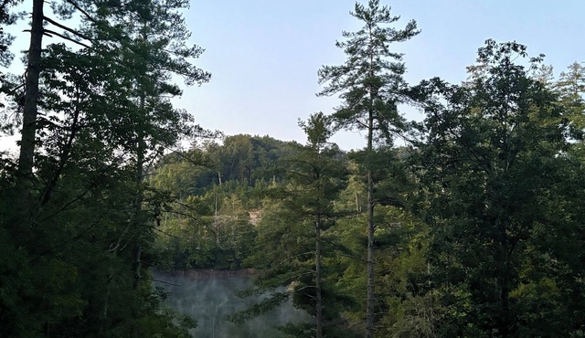 Chasin Turkeys is a Charming 2-bedroom Lakefront cabin in Red River Groge