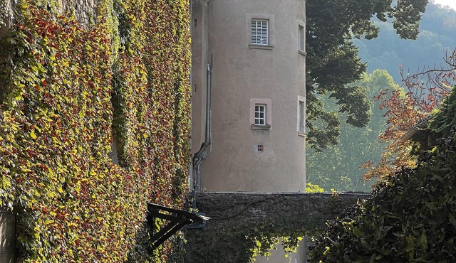 Chateau du rey Restaurant L'Abeuradou