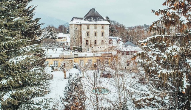 Chateau Authentique avec piscine dans les Vignes