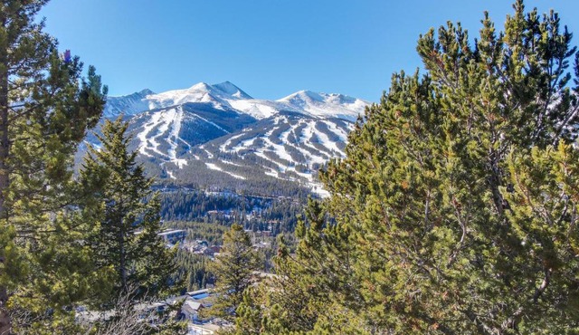 Chateau Claire Condo