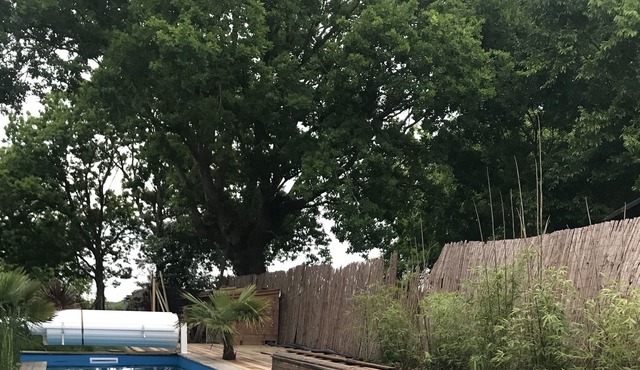 Chateau / Country House