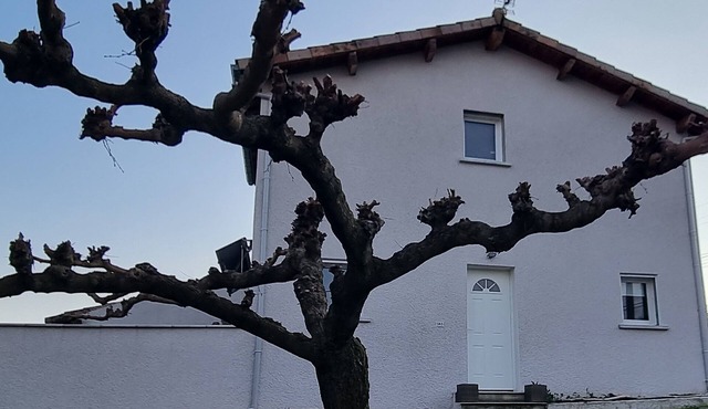 Chateau/Country House