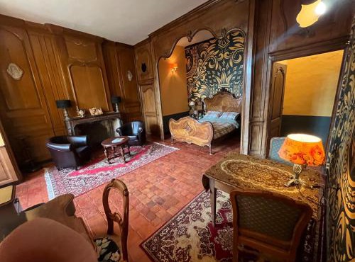 Chateau d'Albon - Henri II