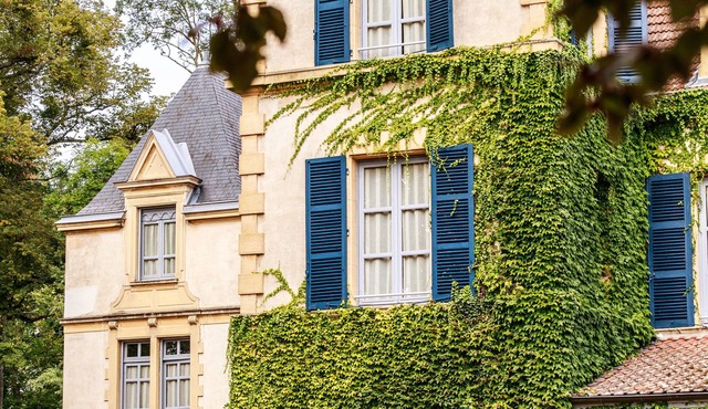 Chateau De Champlong