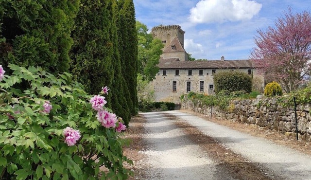 Château de Curton Cottage with Private Garden and Wi-Fi in Daignac