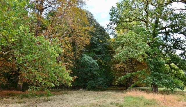 Chateau de Freschines