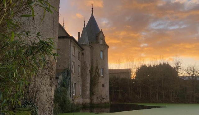 Chateau de la Preuille Gites