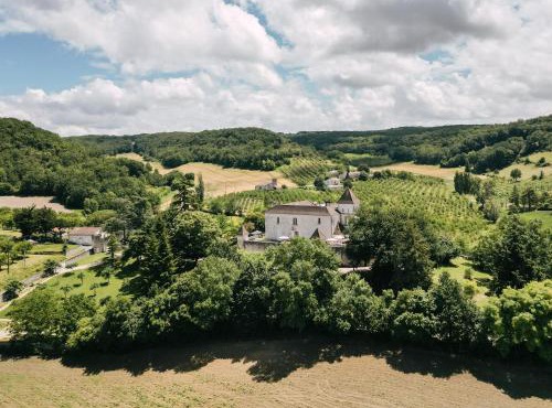 Chateau de Lamothe d'Anthe