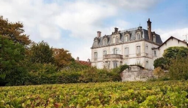 Chateau de Mercurey. 8 luxury bedrooms with ensuite bathrooms. heated pool.