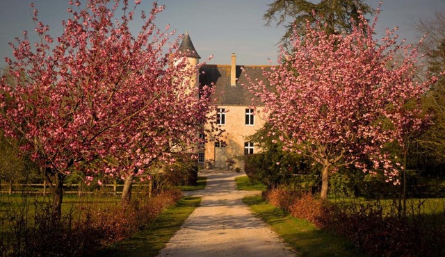 CHATEAU DE MONFREVILLE