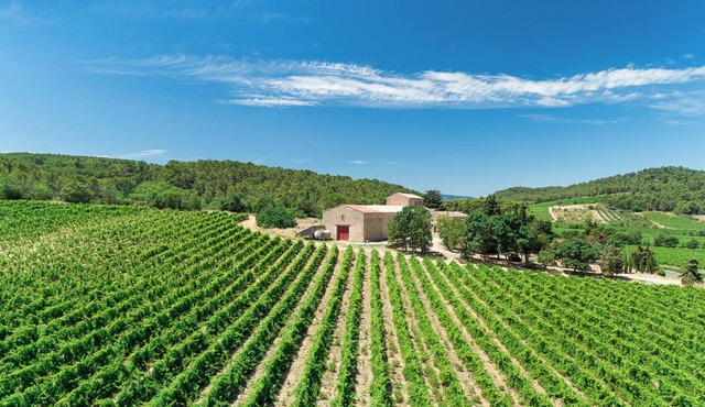 Chateau de Prax Viel, swimming pool, mini farm, air-conditioned - Gîte Grenache