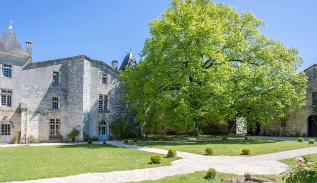 Chateau De Seyres - Seven Bedroom Castle, Sleeps 15