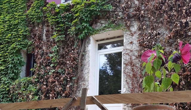 Chateau / Country House