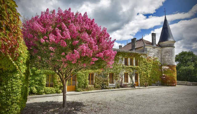 Château du Plessis - a magnificent château in the heart of the Cognac vineyards