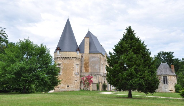 Château in the Dordogne, with swimming pool and spacious rooms for unforgettable moments