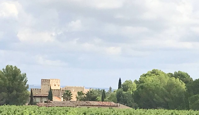 Chateau with swimming pool for 14 people in the middle of the vineyards
