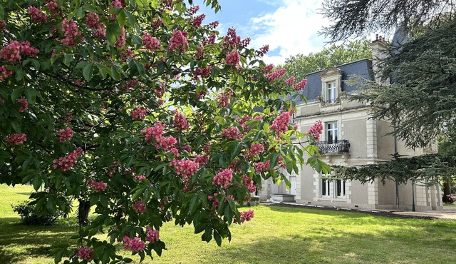 Chateau with heated pool, sauna near Poitiers and the vineyards of Chinon