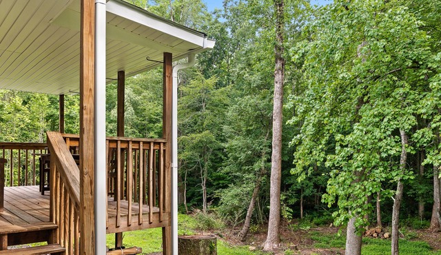 Chattanooga Area Mountain Retreat: Peaceful setting in convenient location
