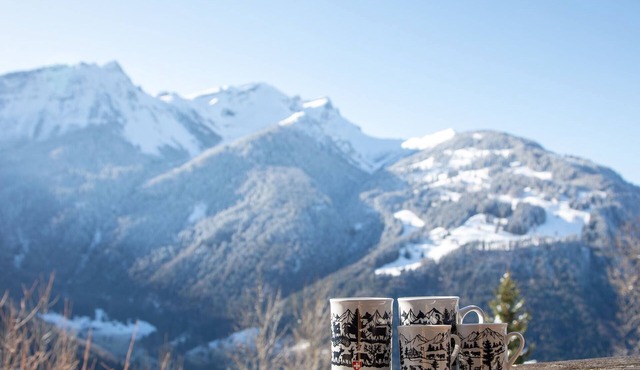 Chavonnes 11 by Interhome