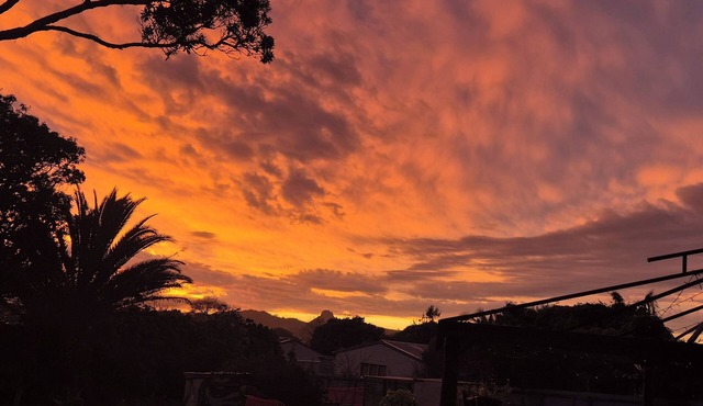 cheap and affordable