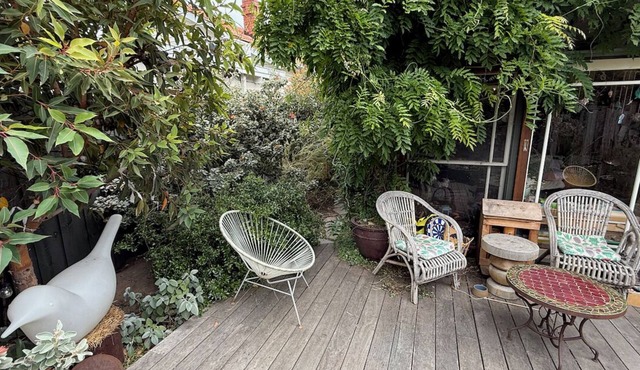 Cheap house for Christmas in Williamstown (need to feed 3 cats & water garden)