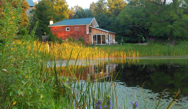 Check back 1 March 2025 for updatesnnnn