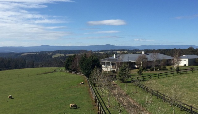 Cheeky Fox Retreat, a venue for wellbeing retreats and group getaways