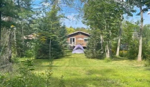 Cheerful 3 bdrm home in the Kawarthas.