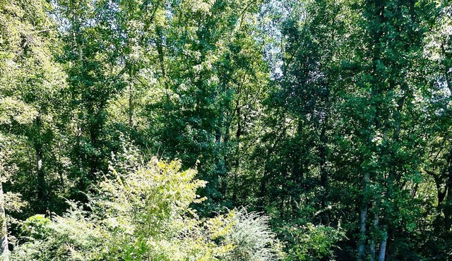 Cheerful 3 Bedroom Villa with Swimming Pool.