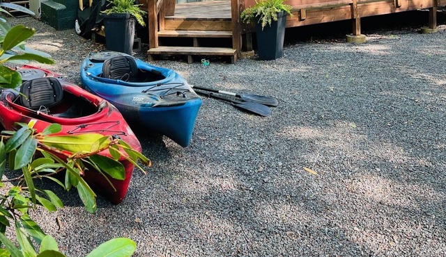 Cheerful 4 Bedroom Chalet nestled in Rhododendrons