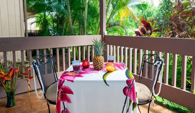 Cheerful & Affordable Studio Apartment - Walking Distance to Beaches