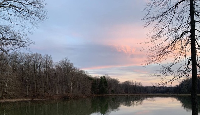 Cheerful Cabin with Free Parking that sleeps Eight