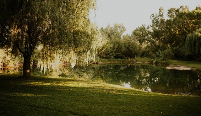 Cheerful Country Cottage
