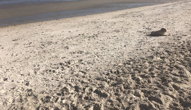 Cheerful, modern, private unit - 5 min to the beach