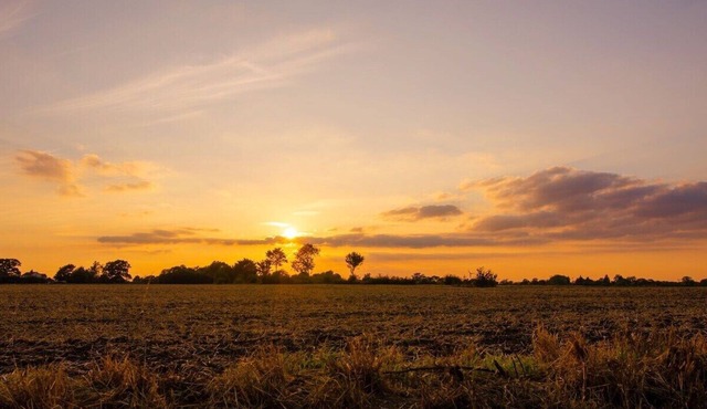 Cheerful two bedroom cottage with field views