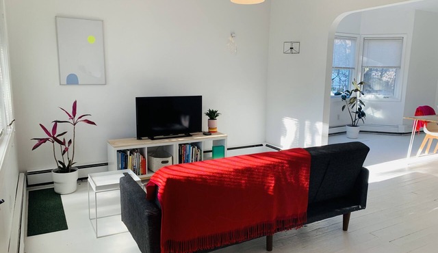 Cheery Black House Filled with Light Close to Downtown