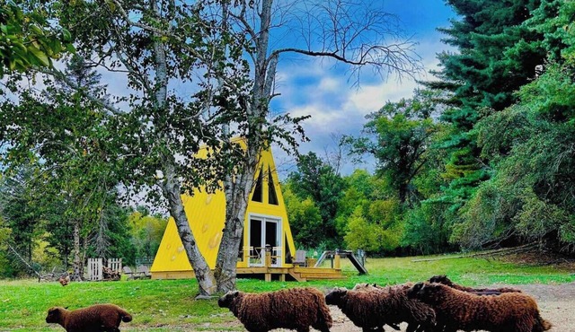 Cheese Wedge Cabin Idyllic Farm