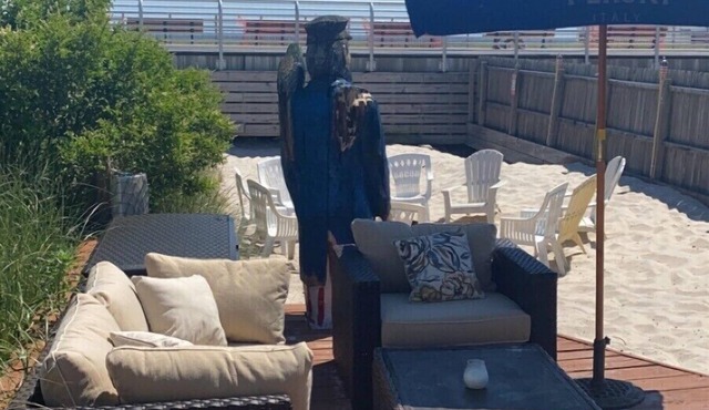 Cheeseburgers in Paradise