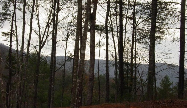 Cherokee Dream Mountain Lodge