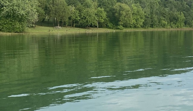 Cherokee Lake view by Gilmore Dock 1 hour from Gatlinburg