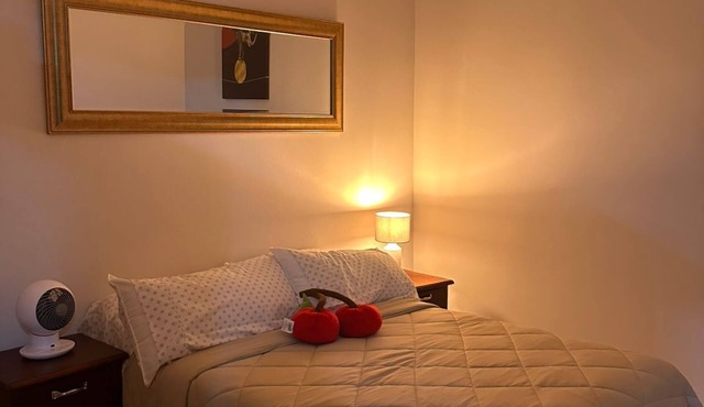 Cherry apartment 🍒 in downtown Xalapa. Within reach of everything!