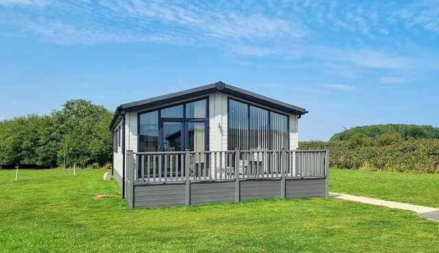 Cherry Blossom 37 - UK50706